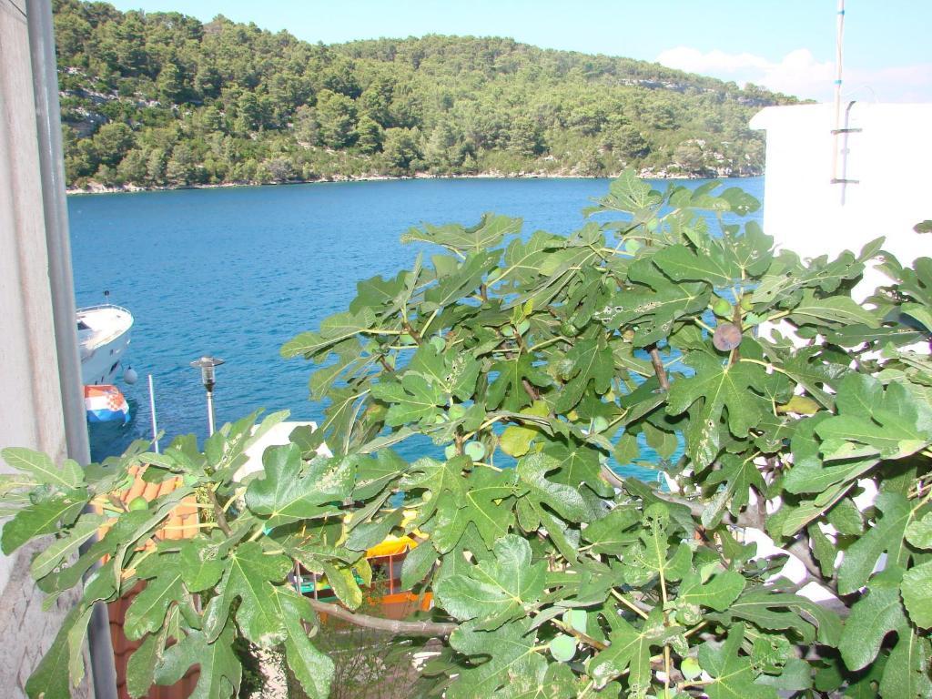Готель Sea House Mljet Полаче Номер фото
